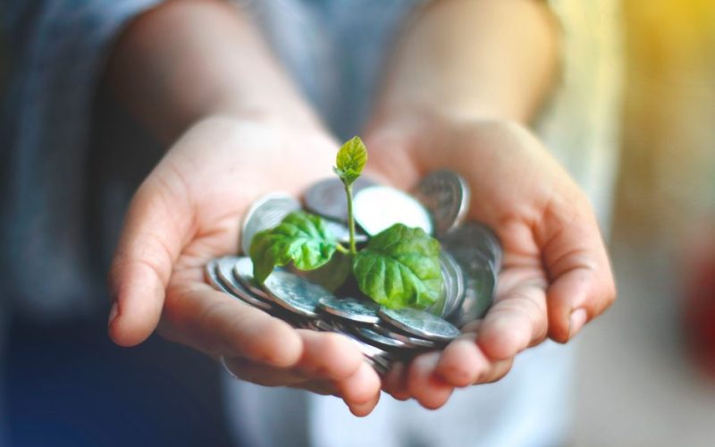 Profitable ESG Portfolio: A Beginner Guide