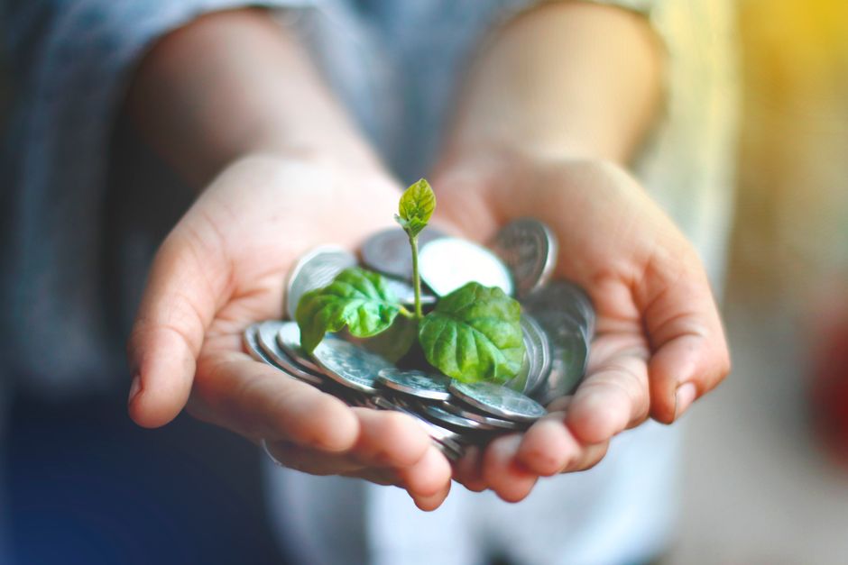 Profitable ESG Portfolio: A Beginner Guide